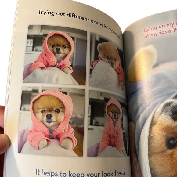 Scholastic Early Readers Level 2 Set Of 9 Scholastic Reader PB Books Girl Titles - Picture 9 of 10